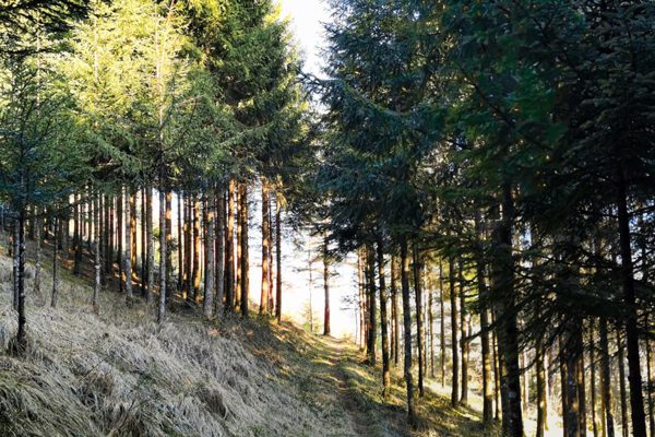 Is Your Camper Insurance Keeping Up with the Road? | Goose Creek, SC