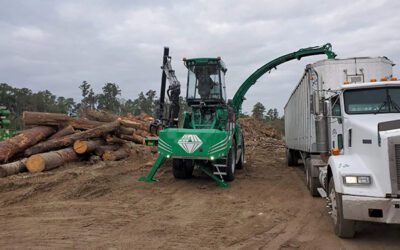 Claim Lessons from Storm Season in the Timber Belt | Forestry Equipment Insurance