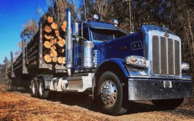 Fleet vs. Single Work Truck: Coverage Differences | Commercial Auto Insurance in Summerville, SC